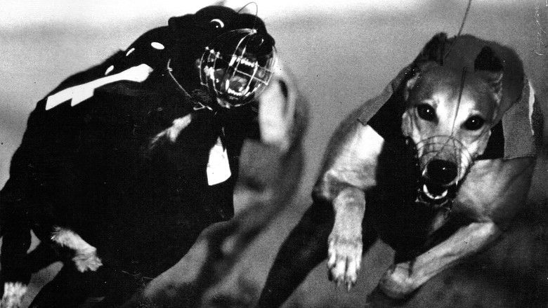 кадр из фильма LUCY