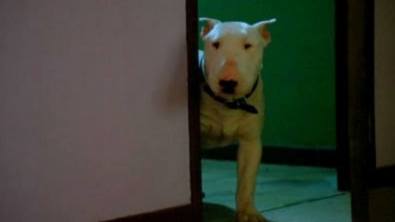 Мертвая хватка