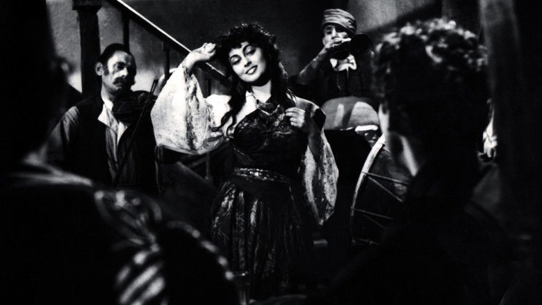 кадр из фильма Цыганка