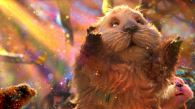 кадр из фильма Океан чудес