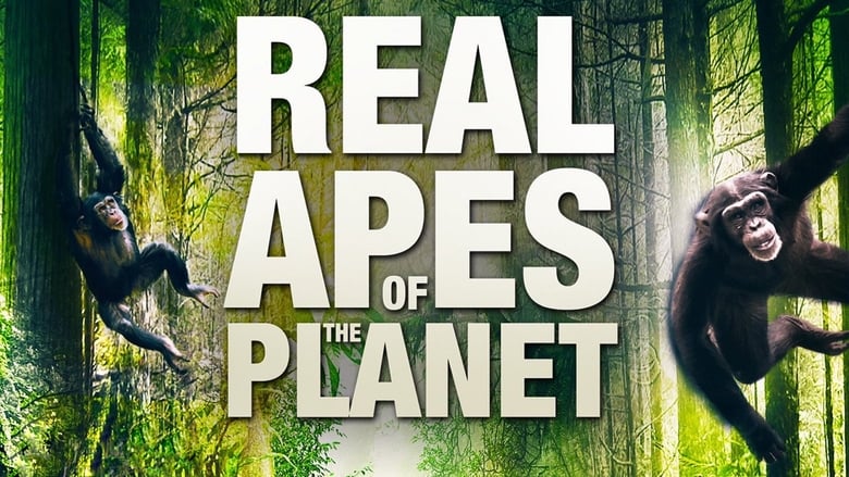 The Real Apes of the Planet