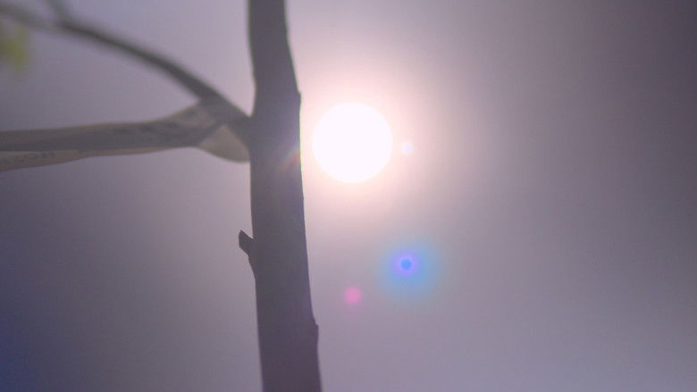 кадр из фильма Raízes Perdidas