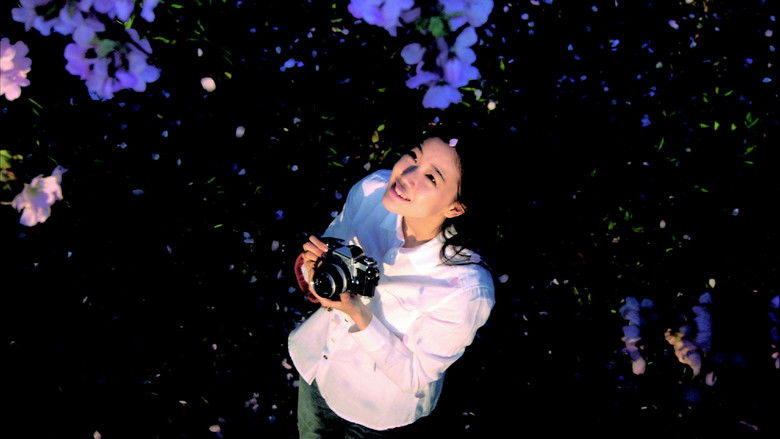 кадр из фильма ニライカナイからの手紙