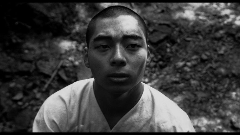 кадр из фильма Shiro