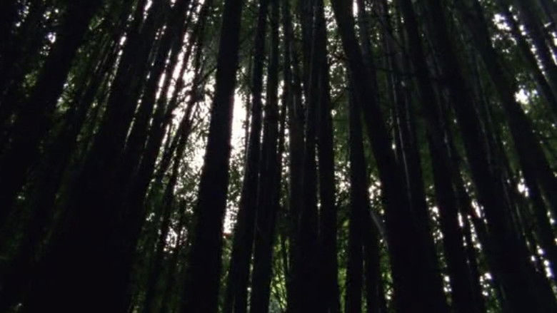 кадр из фильма Hypnosis Display