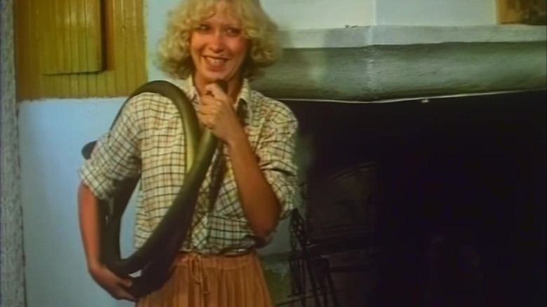 кадр из фильма Рог викингов