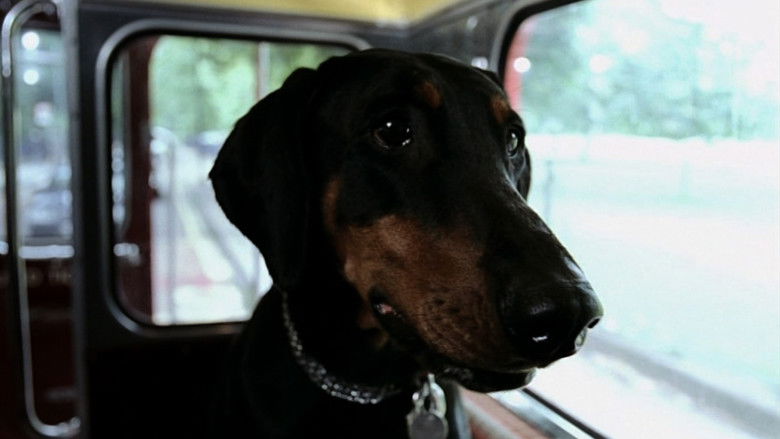 кадр из фильма My Wrongs #8245–8249 & 117