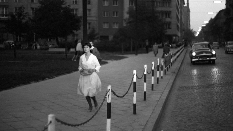 кадр из фильма Влюблённый пингвин