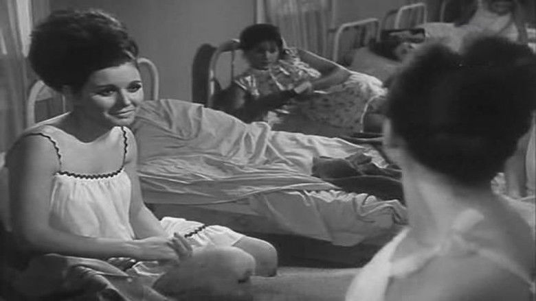 кадр из фильма التلميذة والأستاذ