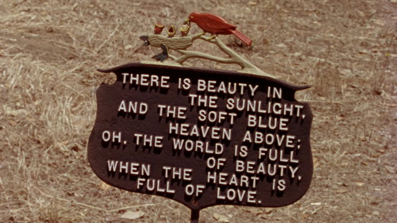 кадр из фильма Gates of Heaven