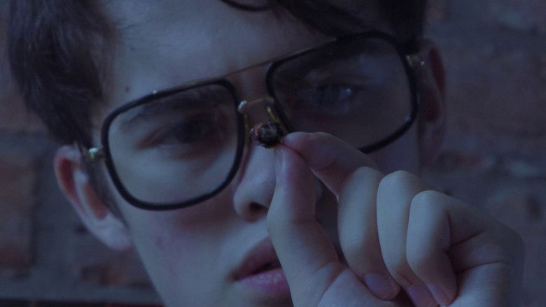 кадр из фильма Bobby Bobertson