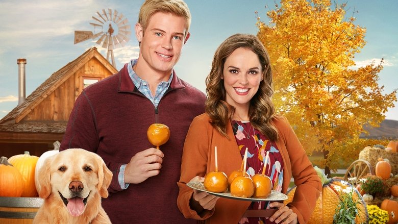 кадр из фильма Любовь, осень и порядок