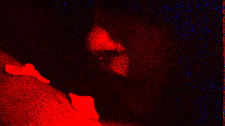 кадр из фильма PEAUDEDEPART