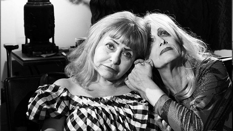 кадр из фильма This Side of Heaven