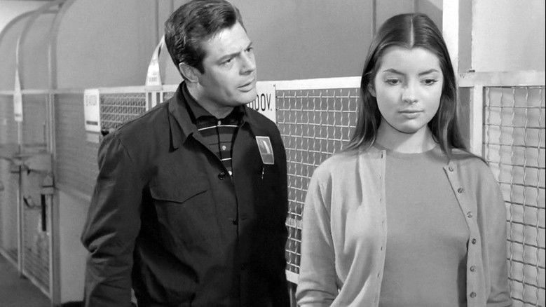 кадр из фильма Tutti Innamorati