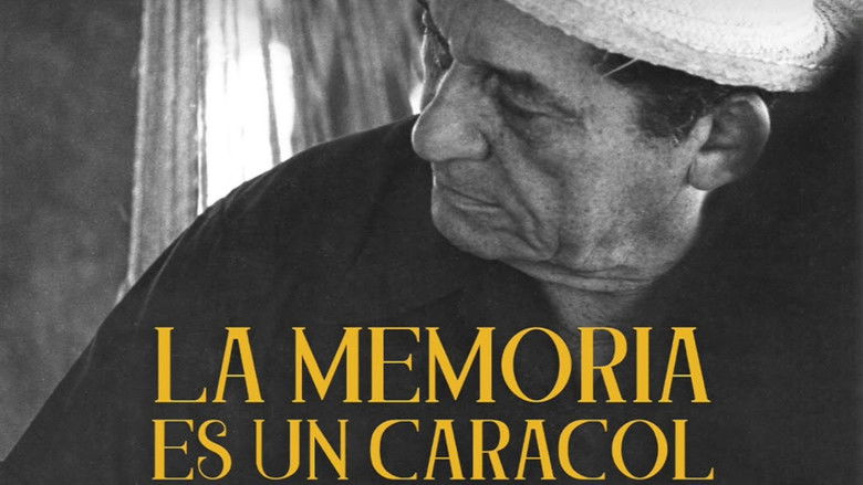 кадр из фильма La Memoria es un Caracol