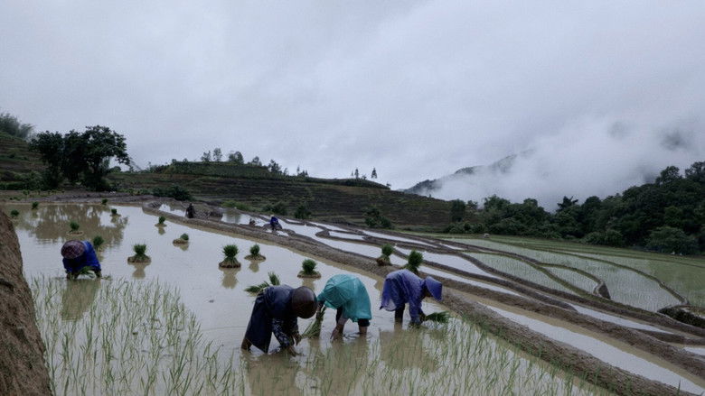 кадр из фильма The Last Tribe in China