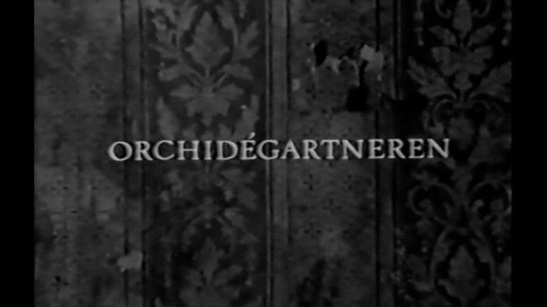 кадр из фильма Orchidégartneren