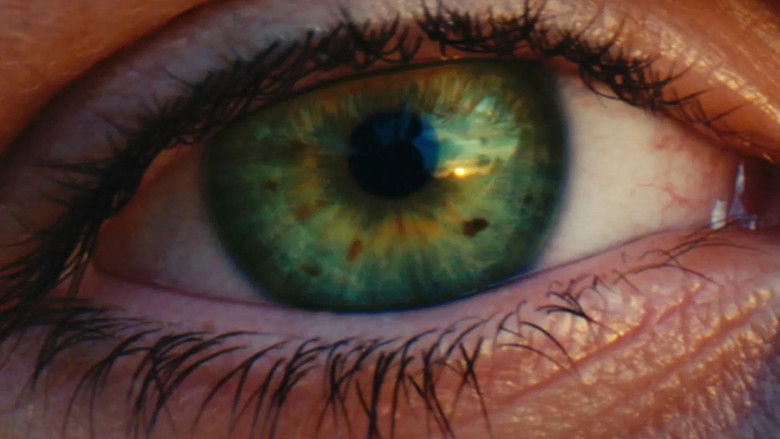 кадр из фильма Погоня за светом