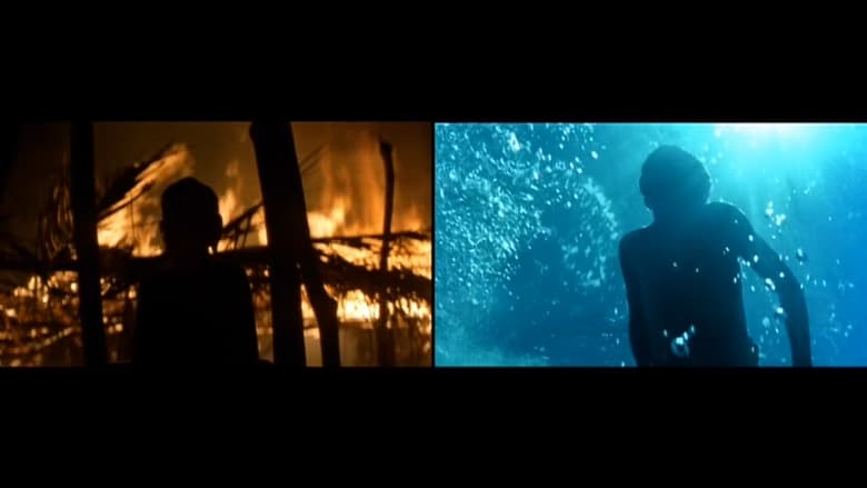 кадр из фильма Malick: Fire & Water