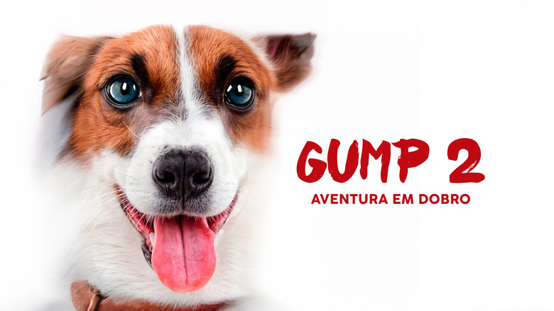 кадр из фильма Гампи. Собачья жизнь