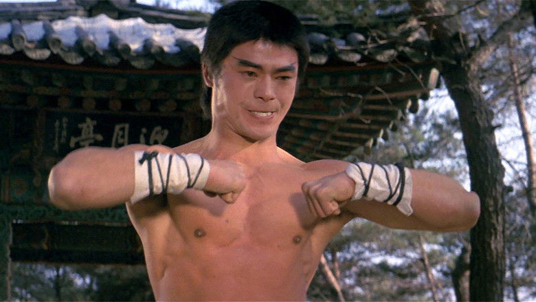 кадр из фильма Ниндзя против стражей Шаолиня