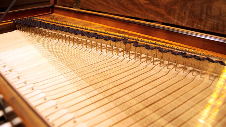 кадр из фильма Playing the Room: The Making of The Virtual Haydn