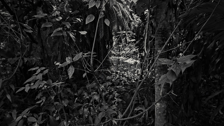 кадр из фильма Horizontes