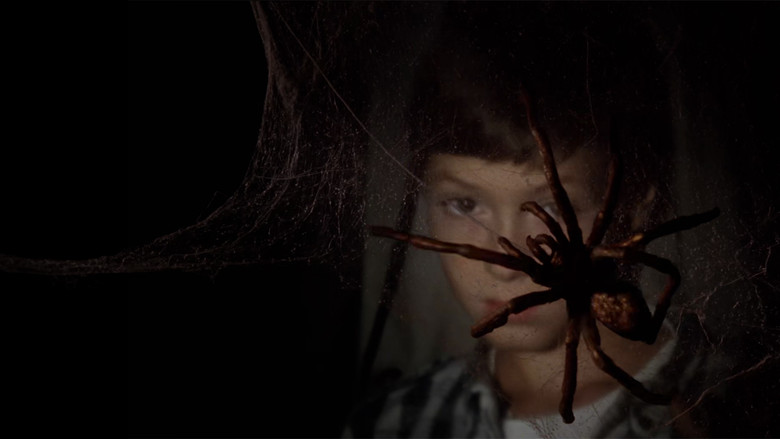 кадр из фильма Il nido del ragno