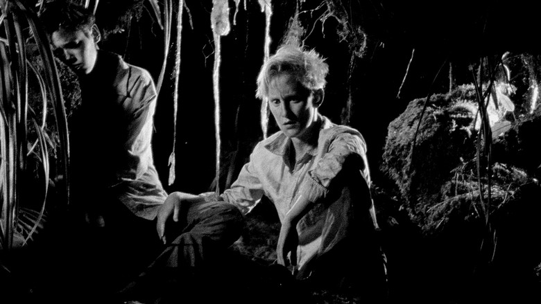 кадр из фильма Дикие мальчишки