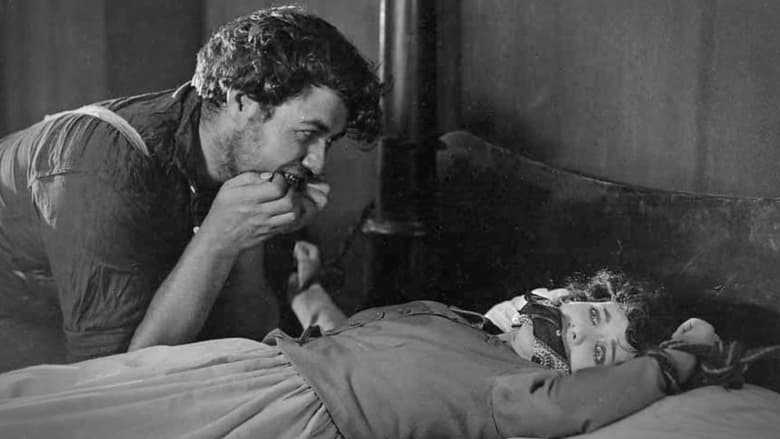 Дикие апельсины