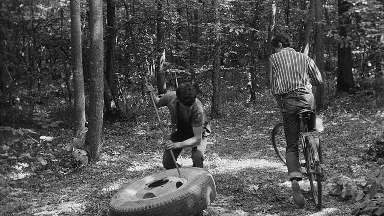 кадр из фильма Viața în roz