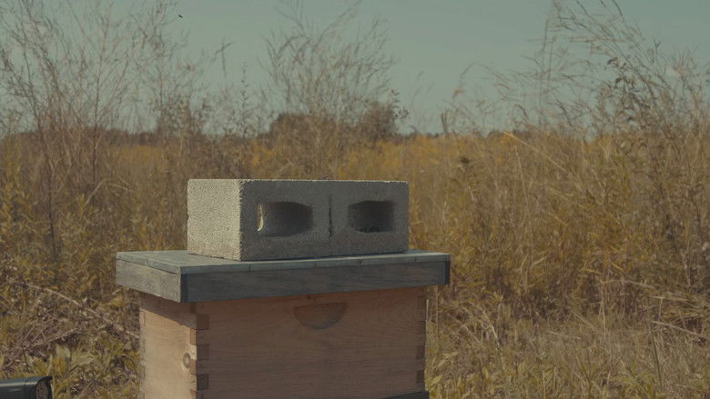 кадр из фильма Sancho