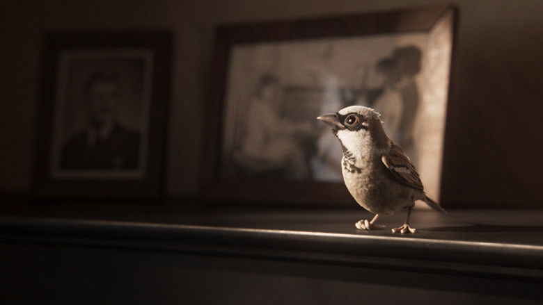 кадр из фильма A Sparrow’s Song
