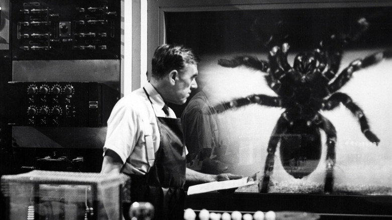 кадр из фильма Тарантул