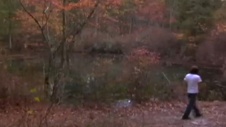 кадр из фильма Legend of the Blue Hole