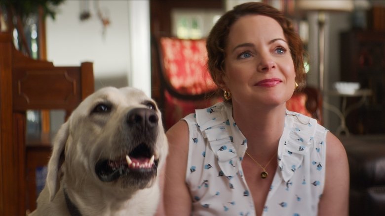 кадр из фильма Пропала собака