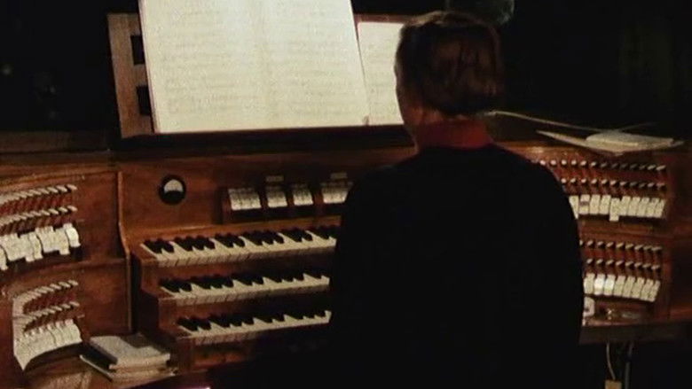 кадр из фильма Babel - lettre à mes amis restés en Belgique