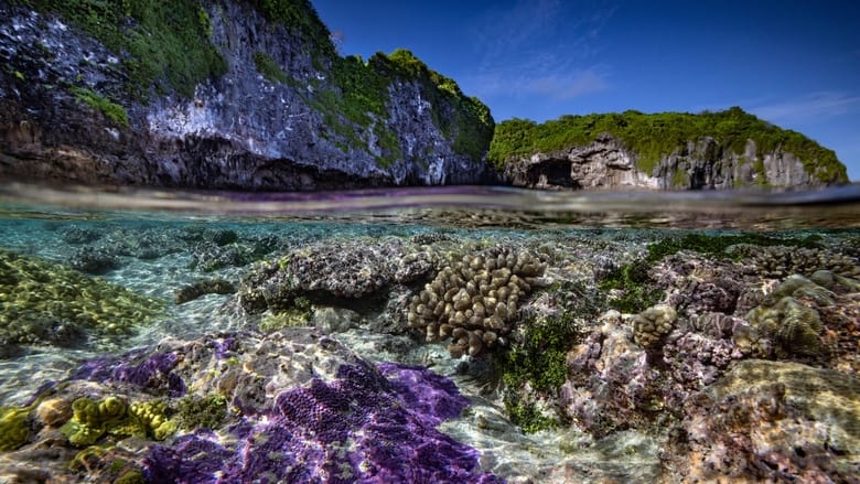 кадр из фильма Protecting Paradise: The Story of Niue