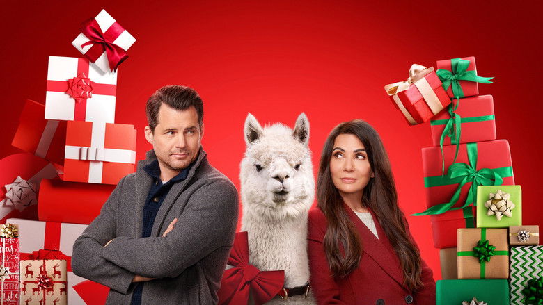 кадр из фильма We Wish You a Married Christmas