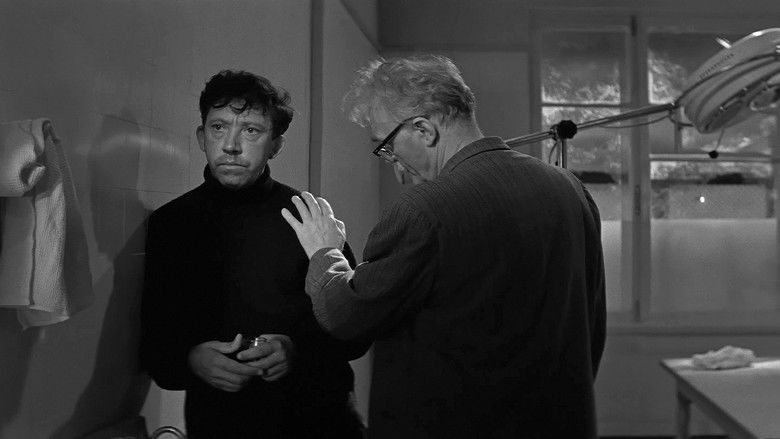 кадр из фильма Ко мне, Мухтар!