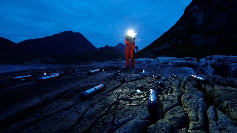 кадр из фильма Acoustic Ocean