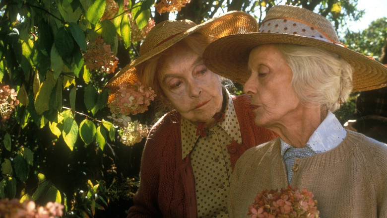 кадр из фильма Августовские киты