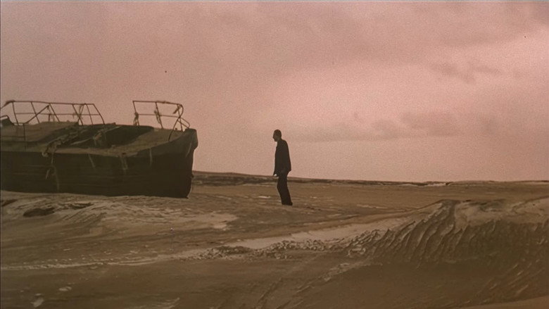 кадр из фильма Посетитель музея