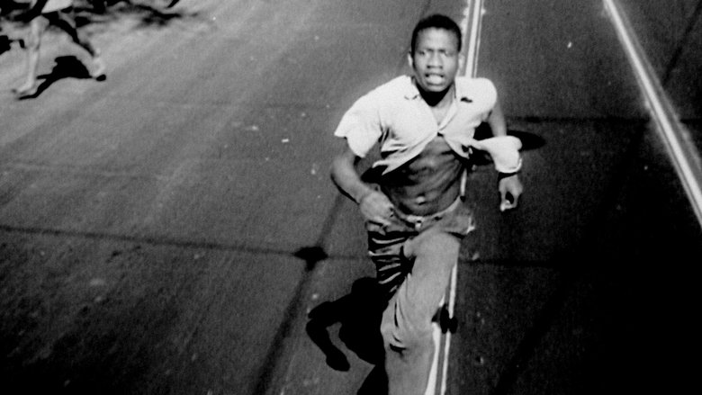 кадр из фильма Cinema Novo