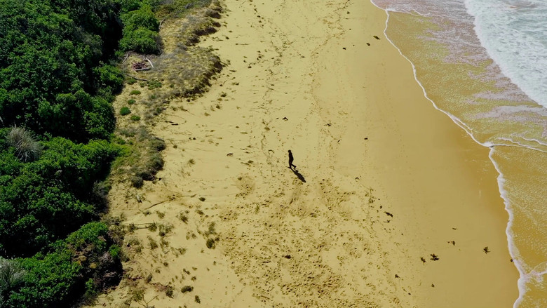 кадр из фильма Comrade