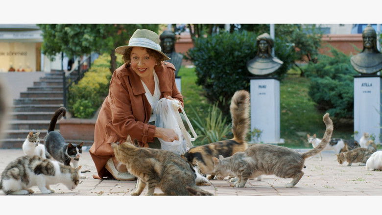 кадр из фильма Mahallenin Bazı Kedileri