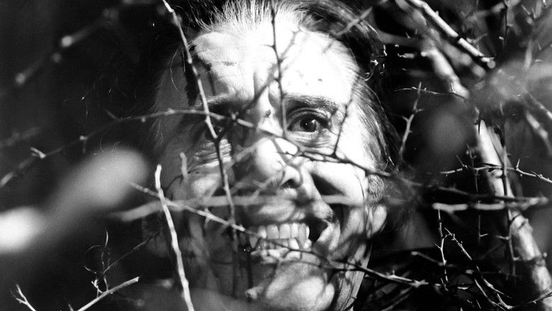 кадр из фильма Сатанинские обряды Дракулы