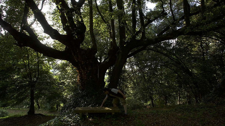 кадр из фильма Дар