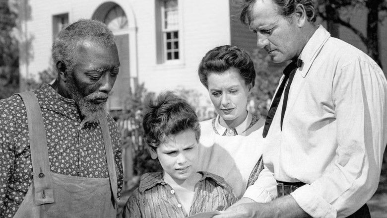 кадр из фильма Звезды в моей короне